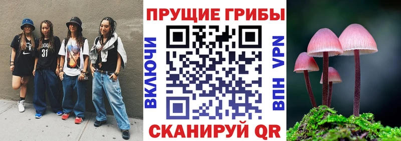 Галлюциногенные грибы мицелий  Купить где  Кировск 